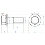 DIN 6921 Z KOŁNIERZEM TYTANOWA GRADE 5 Ti6Al4V